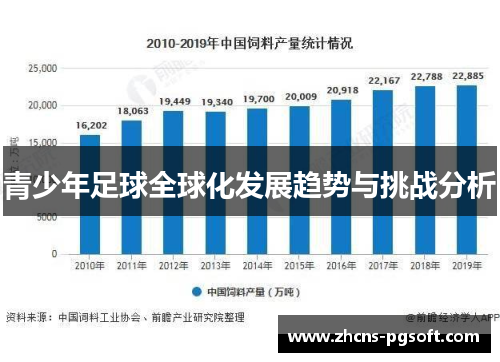 青少年足球全球化发展趋势与挑战分析