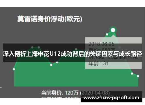 深入剖析上海申花U12成功背后的关键因素与成长路径