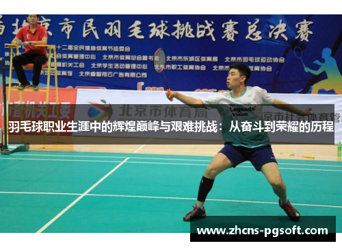 羽毛球职业生涯中的辉煌巅峰与艰难挑战：从奋斗到荣耀的历程