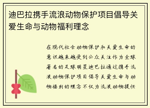 迪巴拉携手流浪动物保护项目倡导关爱生命与动物福利理念