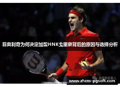 菲奥利奇为何决定加盟HNK戈里察背后的原因与选择分析