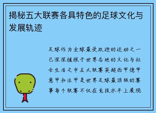 揭秘五大联赛各具特色的足球文化与发展轨迹