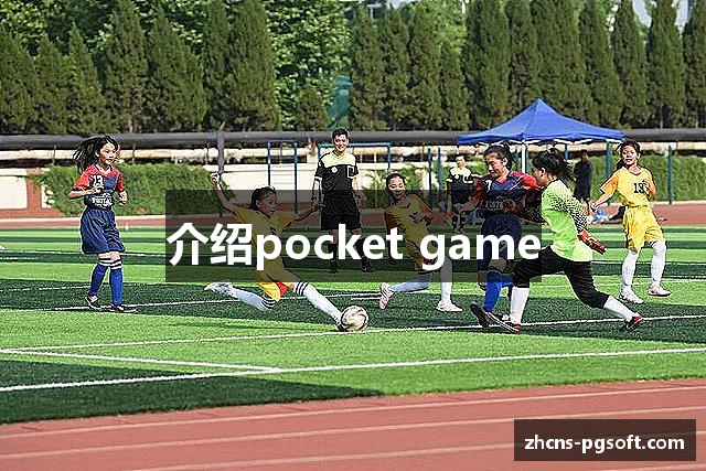 介绍pocket game